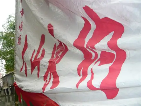 2010 年龙船（龙舟）记录，第 8 张
